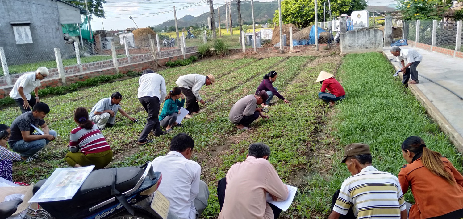 Nông dân tham gia mô hình thực tế tại một hộ gia đình