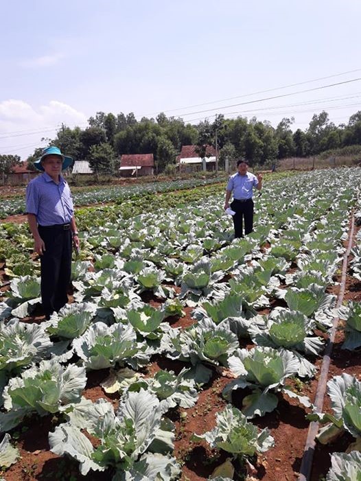  Kiểm tra sản xuất Rau an toàn tại Vĩnh Sơn, tháng 5.2020