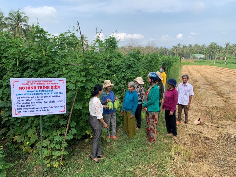 Tại khu phố 1 phường Tam Quan, thị xã Hoài Nhơn ngày 28/4/2021